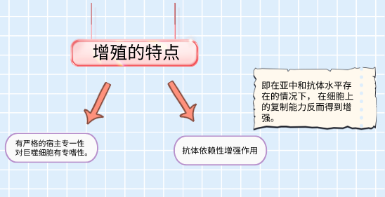 增殖的特点.png