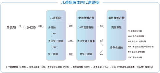 图片30.png