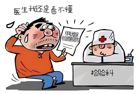 甲状腺2.png
