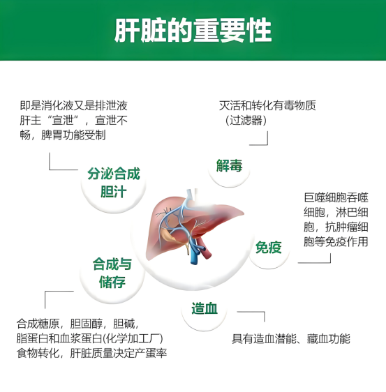 肝功能2.png