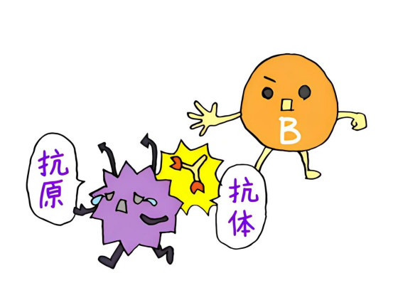 6384816831669905429609169.png