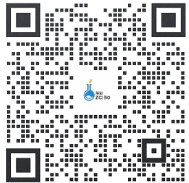 6385093976262032637955014.png