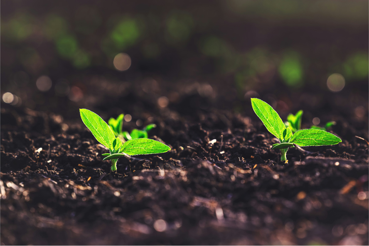 1771922440532114.jpg 1771922440532114.jpg